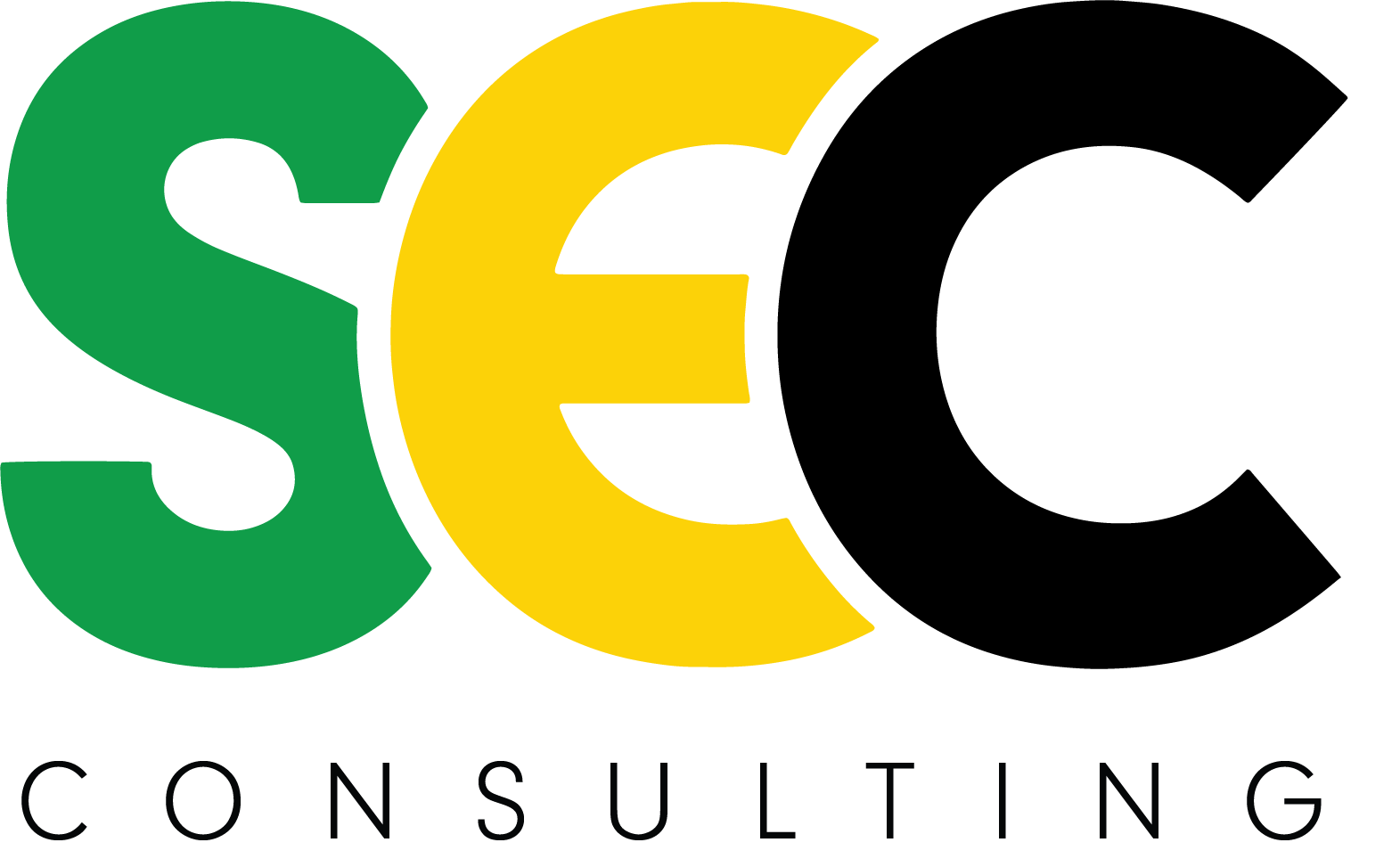 SEC Consulting Logo